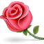 rose-icon-1